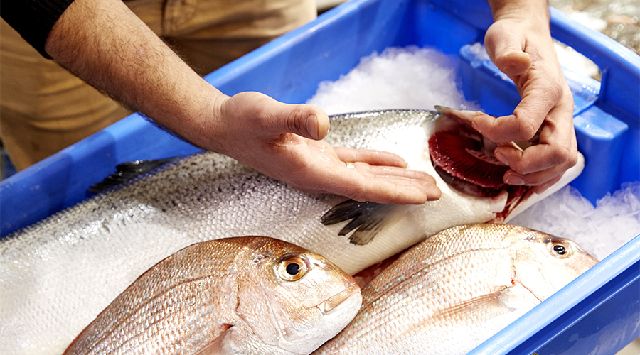 buy fresh fish online in Malaysia